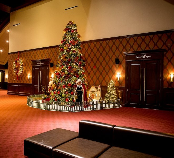 3.Hall avant 2