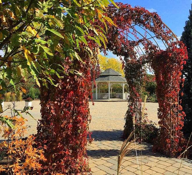 Jardin